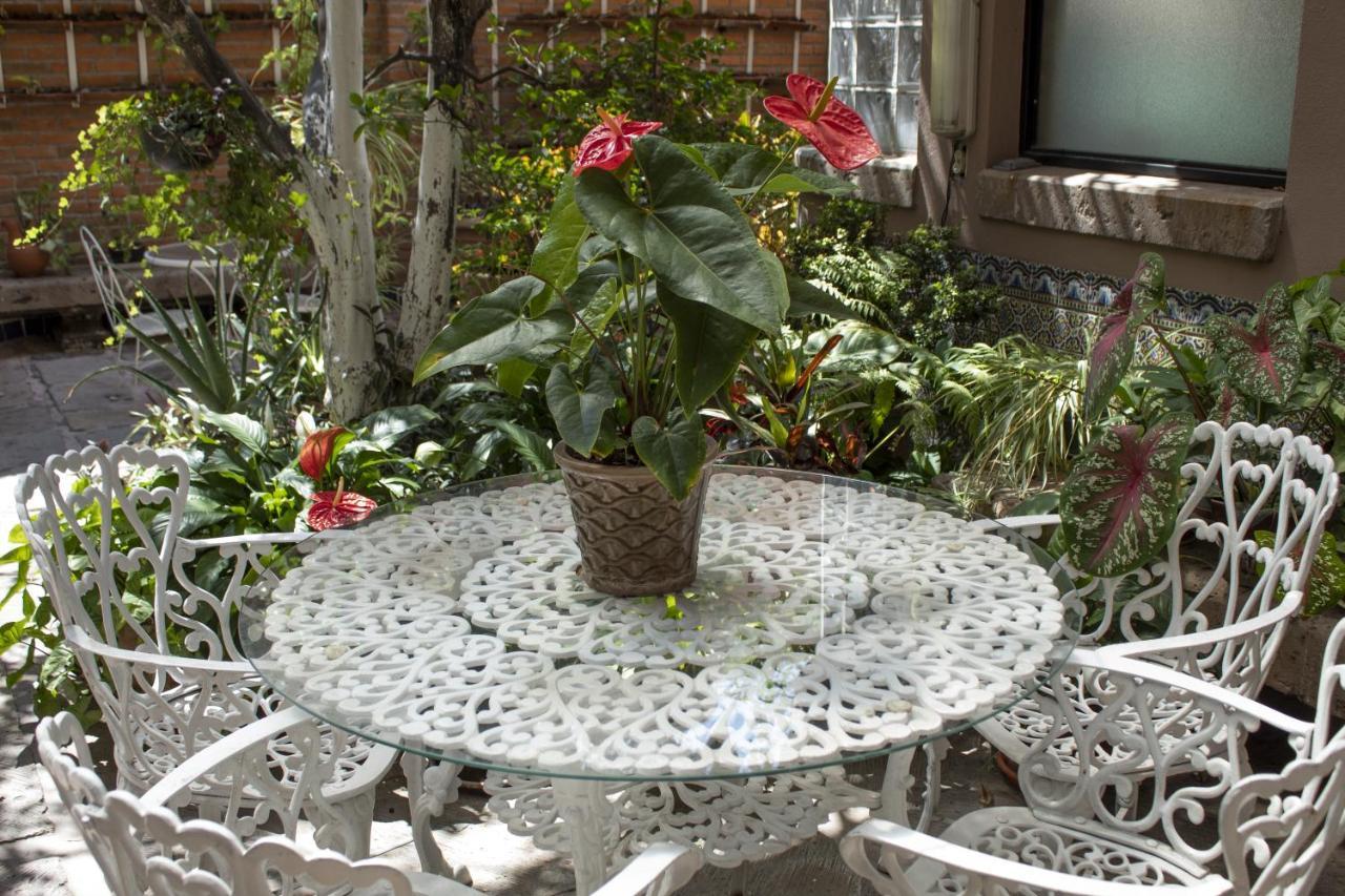 莫雷利亚 Mansion Mijashe Wellness & Travel House酒店 外观 照片