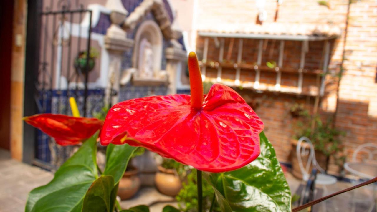 莫雷利亚 Mansion Mijashe Wellness & Travel House酒店 外观 照片